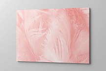 Obraz Ružový boho štýl 1966